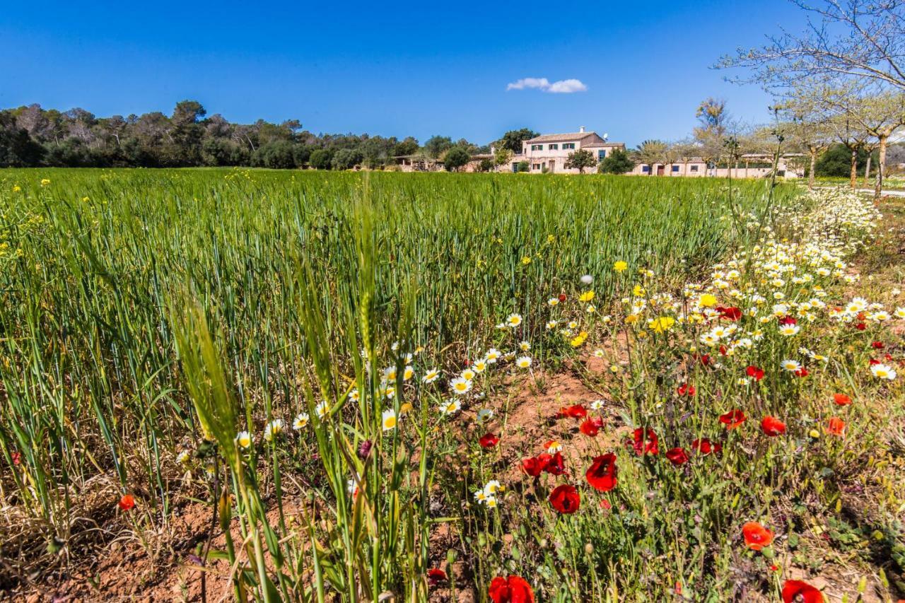 Finca Agroturismo Sa Cova Den Borino Campos  Eksteriør bilde