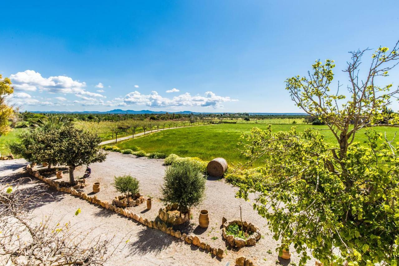 Finca Agroturismo Sa Cova Den Borino Campos  Eksteriør bilde