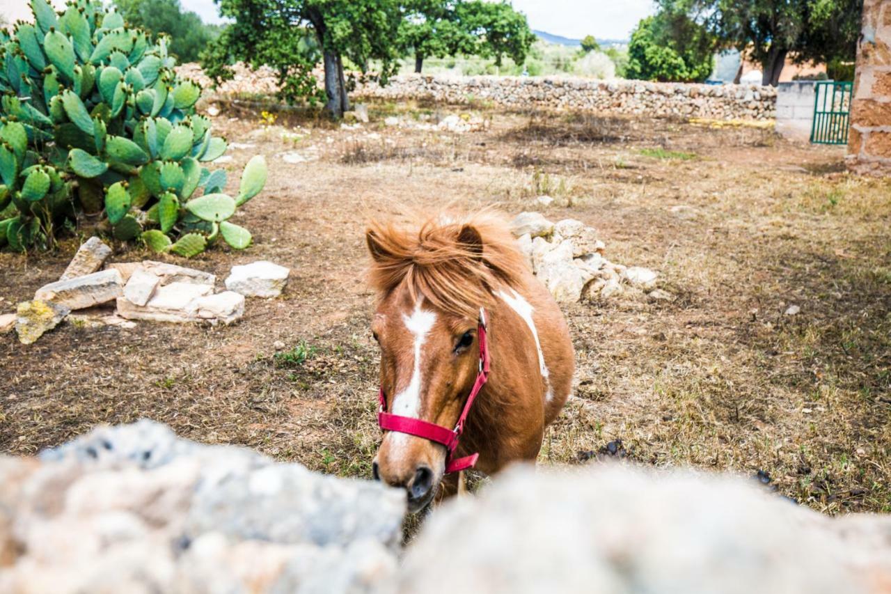 Finca Agroturismo Sa Cova Den Borino Campos  Eksteriør bilde